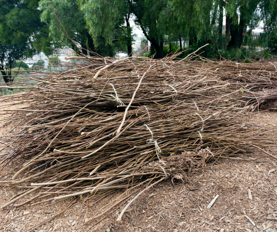 tree brushes