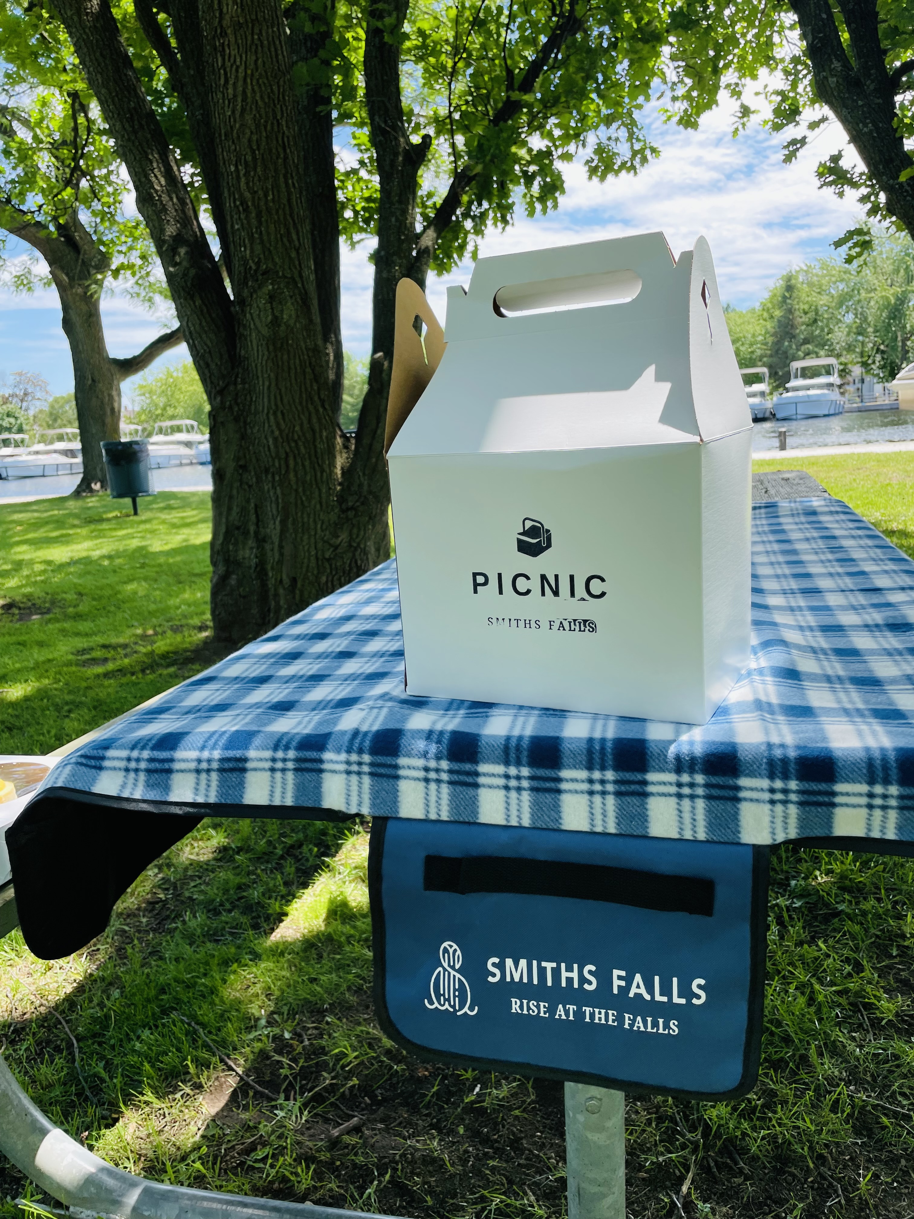 picnic box and blanket