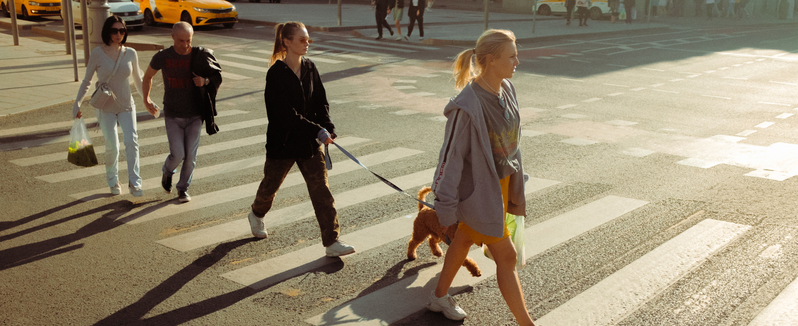 pedestrian crossover with people and a dog crossing