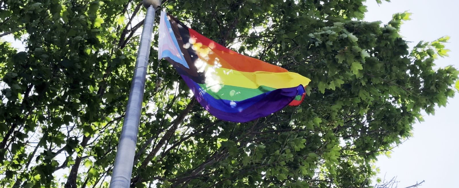 Pride Banner Image