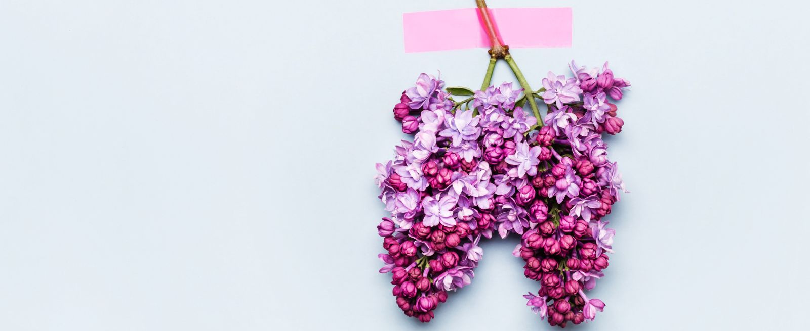 flower lung banner image