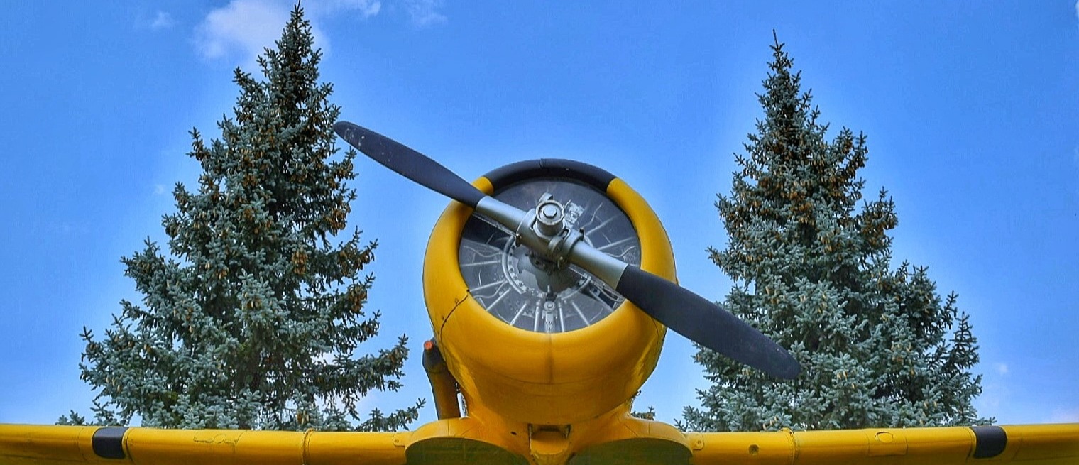 yellow airplane with blue sky and trees in backgroud