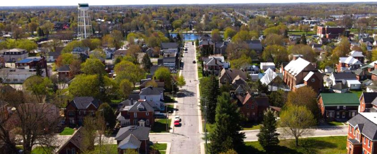 Long street with houses and trees on both sides