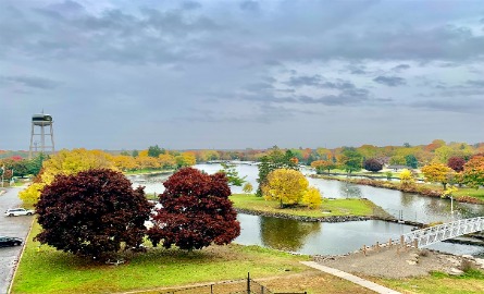 overview image of Centennial Park