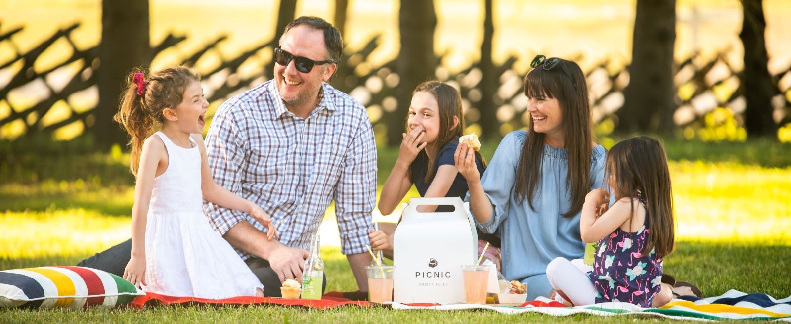 Family having picnic in the park